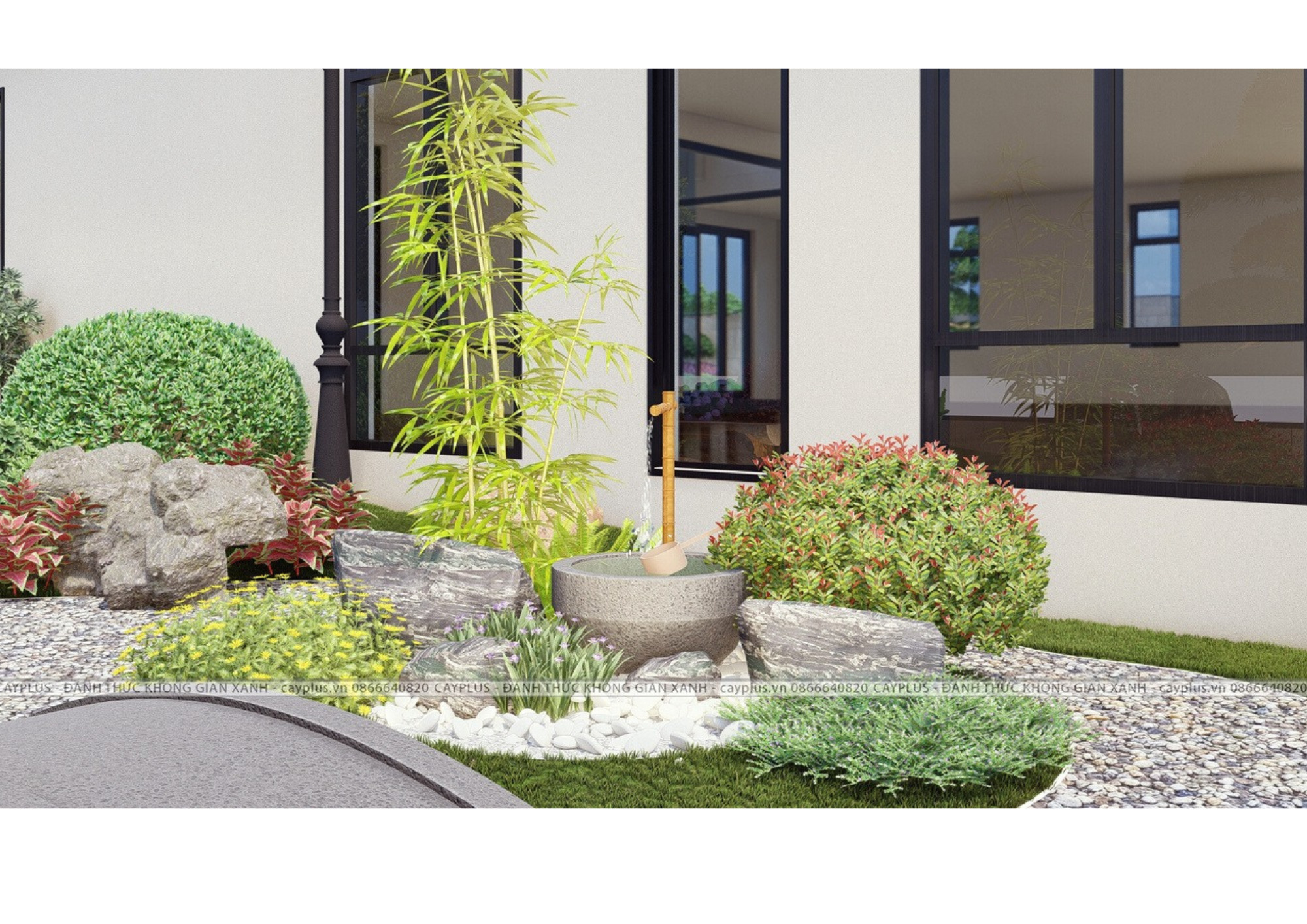 những cụm cây côn tròn tán cao thấp