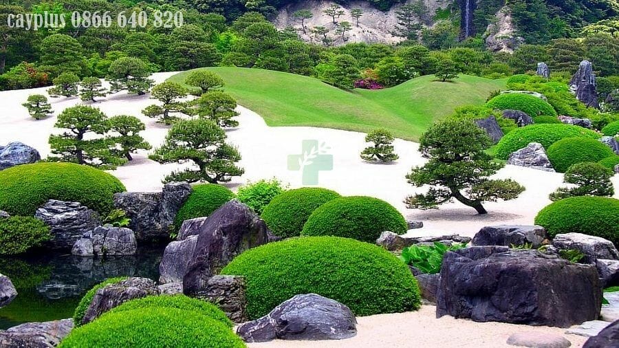Phong cách vườn Nhật Bản - Cayplus - Chuyên gia cảnh quan sân vườn