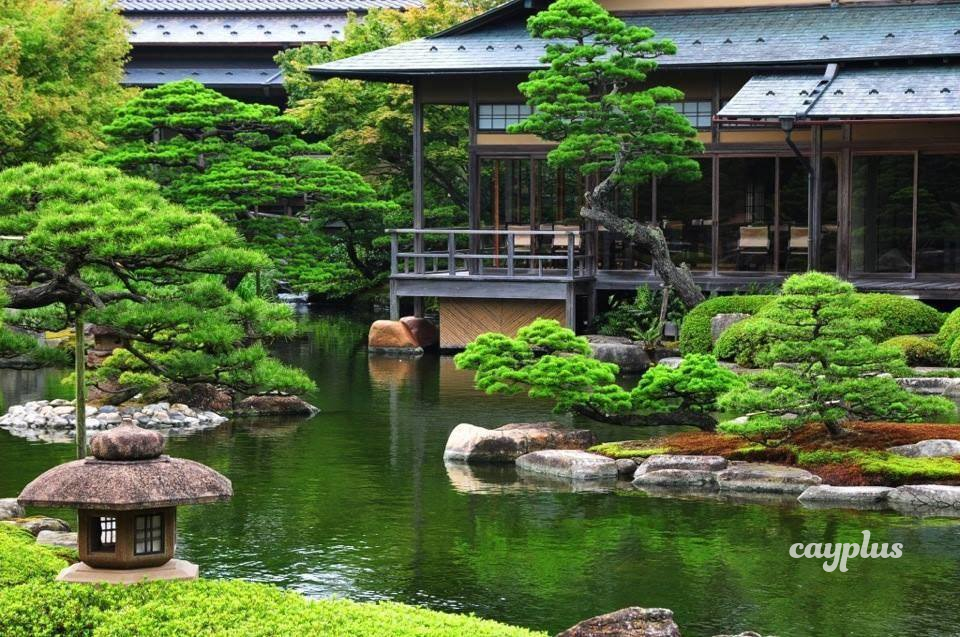 Phong cách vườn Nhật Bản - Cayplus - Chuyên gia cảnh quan sân vườn