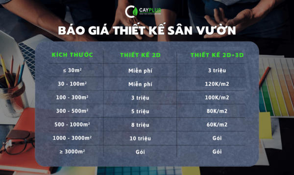 báo giá thiết kế sân vườn